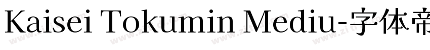 Kaisei Tokumin Mediu字体转换